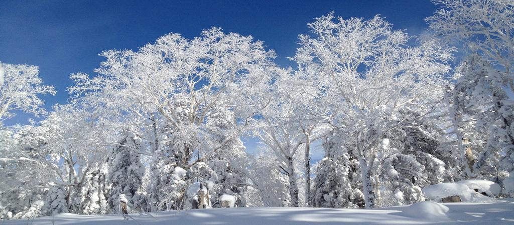 北京出發(fā)東北雪鄉(xiāng)7日自駕游：中國最美雪鄉(xiāng)、查干湖冬捕、虎峰嶺霧淞、雪鄉(xiāng)溫泉