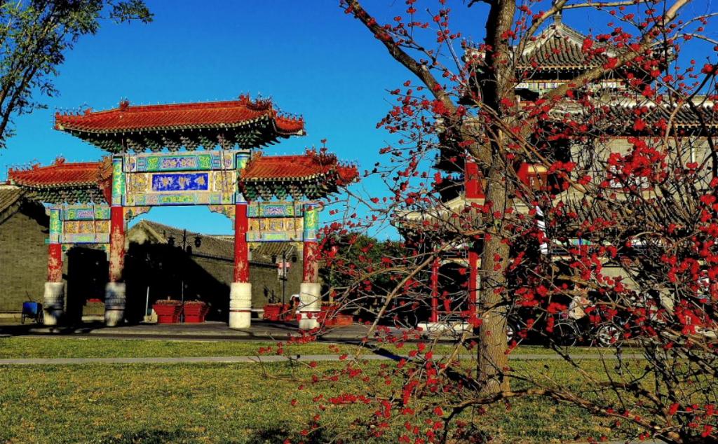 北京出發(fā)天津2日自駕游：楊柳青古鎮(zhèn)、辛口鎮(zhèn)采摘沙沃蘿卜、天津熱帶植物觀光園2日自駕