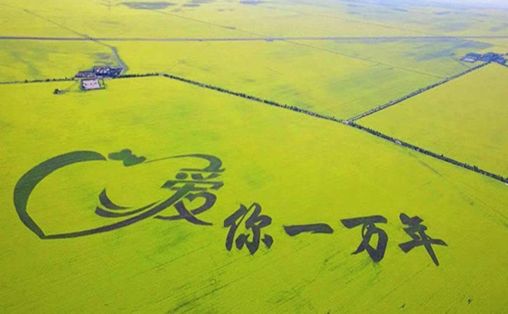 江蘇出發(fā)青海12日自駕游：青海湖-門源油菜花-黃河三峽-茶卡鹽湖12日全程穿越自駕游