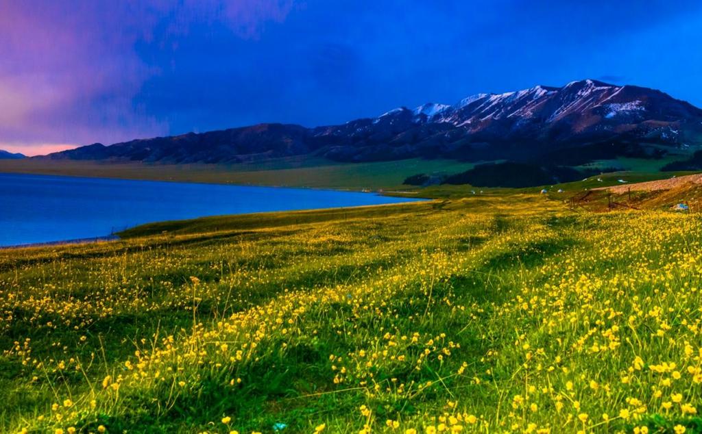 烏魯木齊集合新疆8日落地自駕游：賽里木湖-喀拉峻大草原-巴音布魯克8日自駕游