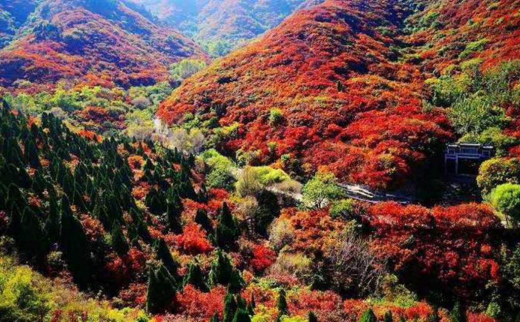 北京出發(fā)河北山東8日自駕：石頭村、西柏坡、白鹿溫泉、王硇村8日自駕