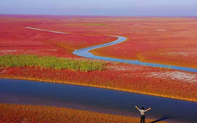 濟(jì)南周邊自駕游：黃河入?？?東營紅地毯-冬棗采摘2日周末體驗活動