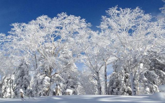 北京出發(fā)東北雪鄉(xiāng)7日自駕游：中國(guó)最美雪鄉(xiāng)、查干湖冬捕、虎峰嶺霧淞、雪鄉(xiāng)溫泉