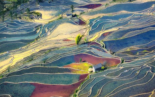 山東出發(fā)云貴14日深度自駕游：羅平油菜花、元陽梯田、撫仙湖14日自駕游