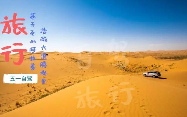 西安出發(fā)阿拉善4日自駕游：天鵝湖+沙漠度假營(yíng)地+夢(mèng)想沙漠公路4日沙漠植樹(shù)活動(dòng)