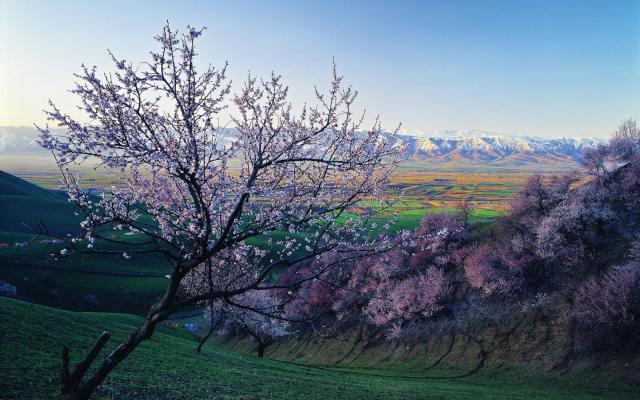【伊犁花香】烏魯木齊起止6日落地自駕：獨(dú)山子大峽谷-賽里木湖-大西溝-喀贊其民俗園-吐?tīng)柛踊?那