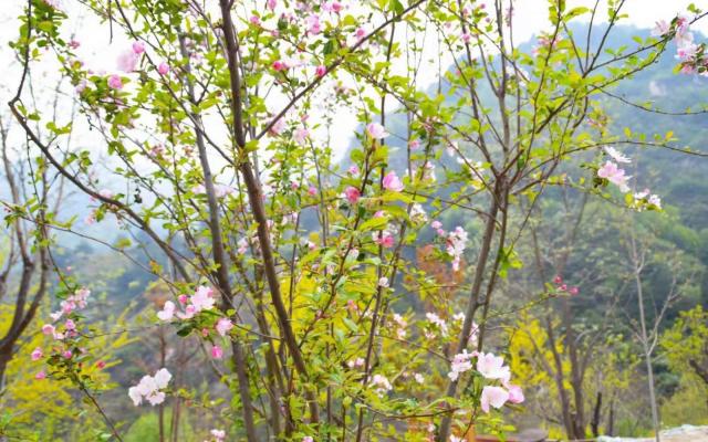 北京周邊2日自駕游：五岳寨-漫山花溪谷河北2日自駕游